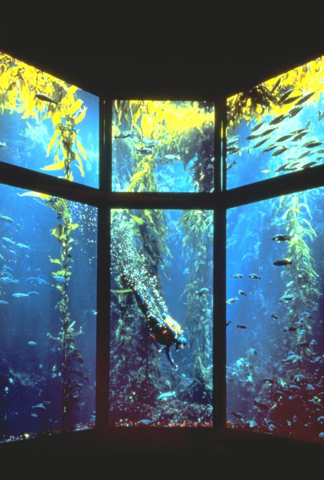 Monterey Bay Inn Exteriör bild