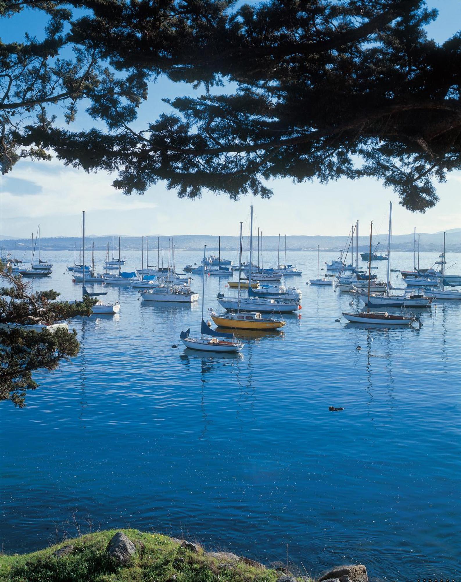 Monterey Bay Inn Exteriör bild